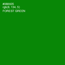 #088605 - Forest Green Color Image
